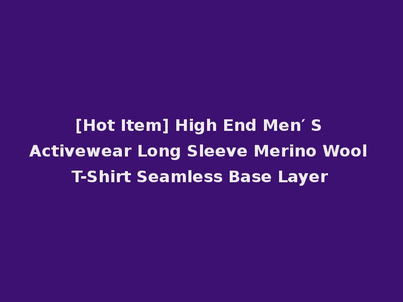 [Hot Item] High End Men′ S Activewear Long Sleeve Merino Wool T-Shirt Seamless Base Layer