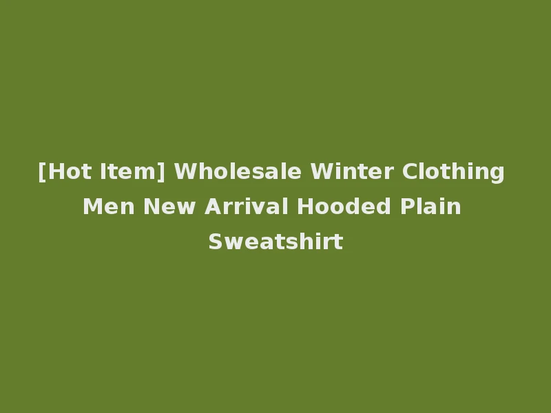 [Hot Item] Wholesale Winter Clothing Men New Arrival Hooded Plain Sweatshirt