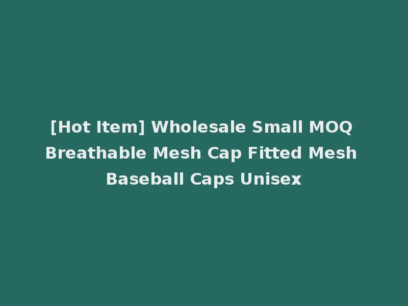 [Hot Item] Wholesale Small MOQ Breathable Mesh Cap Fitted Mesh Baseball Caps Unisex