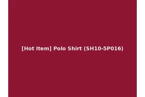 [Hot Item] Polo Shirt (SH10-5P016)