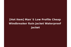 [Hot Item] Man′ S Low Profile Cheap Windbreaker Rain Jacket Waterproof Jacket