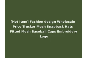 [Hot Item] Fashion design Wholesale Price Trucker Mesh Snapback Hats Fitted Mesh Baseball Caps Embroidery Logo