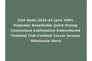 [Hot Item] 2023-24 Lyon 100% Polyester Breathable Quick-Drying Customized Sublimation Embroidered Thailand Club Football Soccer Jerseys Wholesale Stock