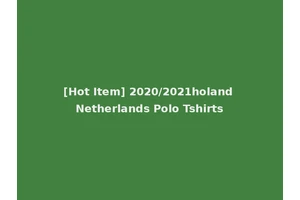 [Hot Item] 2020/2021holand Netherlands Polo Tshirts