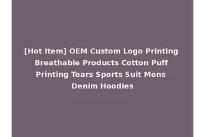 [Hot Item] OEM Custom Logo Printing Breathable Products Cotton Puff Printing Tears Sports Suit Mens Denim Hoodies