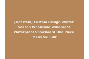 [Hot Item] Custom Design Winter Season Wholesale Windproof Waterproof Snowboard One Piece Mens Ski Suit