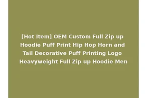 [Hot Item] OEM Custom Full Zip up Hoodie Puff Print Hip Hop Horn and Tail Decorative Puff Printing Logo Heavyweight Full Zip up Hoodie Men