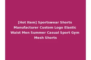 [Hot Item] Sportswear Shorts Manufacturer Custom Logo Elastic Waist Men Summer Casual Sport Gym Mesh Shorts