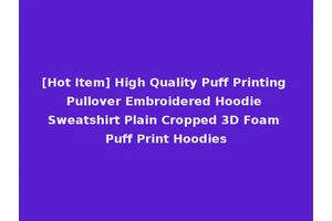 [Hot Item] High Quality Puff Printing Pullover Embroidered Hoodie Sweatshirt Plain Cropped 3D Foam Puff Print Hoodies