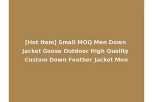 [Hot Item] Small MOQ Men Down Jacket Goose Outdoor High Quality Custom Down Feather Jacket Men