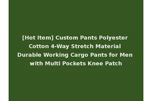 [Hot Item] Custom Pants Polyester Cotton 4-Way Stretch Material Durable Working Cargo Pants for Men with Multi Pockets Knee Patch