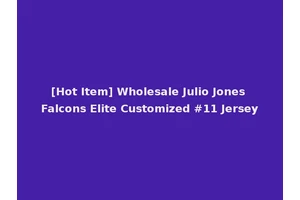 [Hot Item] Wholesale Julio Jones Falcons Elite Customized #11 Jersey