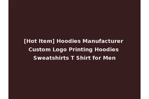 [Hot Item] Hoodies Manufacturer Custom Logo Printing Hoodies Sweatshirts T Shirt for Men