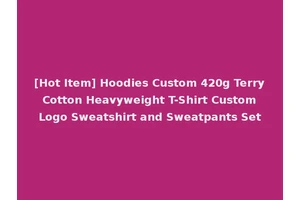 [Hot Item] Hoodies Custom 420g Terry Cotton Heavyweight T-Shirt Custom Logo Sweatshirt and Sweatpants Set