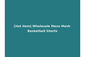 [Hot Item] Wholesale Mens Mesh Basketball Shorts