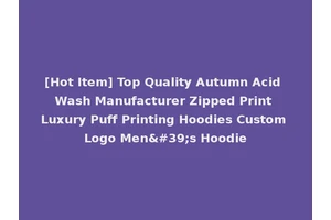 [Hot Item] Top Quality Autumn Acid Wash Manufacturer Zipped Print Luxury Puff Printing Hoodies Custom Logo Men's Hoodie