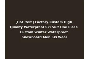 [Hot Item] Factory Custom High Quality Waterproof Ski Suit One Piece Custom Winter Waterproof Snowboard Men Ski Wear
