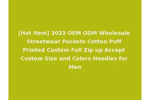 [Hot Item] 2023 OEM ODM Wholesale Streetwear Pockets Cotton Puff Printed Custom Full Zip up Accept Custom Size and Colors Hoodies for Men