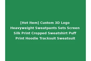 [Hot Item] Custom 3D Logo Heavyweight Sweatpants Sets Screen Silk Print Cropped Sweatshirt Puff Print Hoodie Tracksuit Sweatsuit