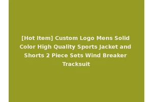 [Hot Item] Custom Logo Mens Solid Color High Quality Sports Jacket and Shorts 2 Piece Sets Wind Breaker Tracksuit