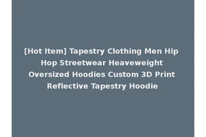 [Hot Item] Tapestry Clothing Men Hip Hop Streetwear Heaveweight Oversized Hoodies Custom 3D Print Reflective Tapestry Hoodie
