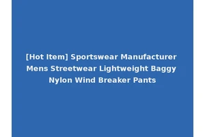 [Hot Item] Sportswear Manufacturer Mens Streetwear Lightweight Baggy Nylon Wind Breaker Pants