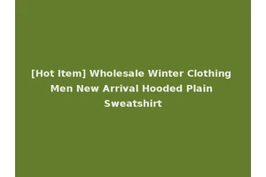 [Hot Item] Wholesale Winter Clothing Men New Arrival Hooded Plain Sweatshirt