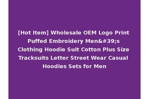 [Hot Item] Wholesale OEM Logo Print Puffed Embroidery Men's Clothing Hoodie Suit Cotton Plus Size Tracksuits Letter Street Wear Casual Hoodies Sets for Men