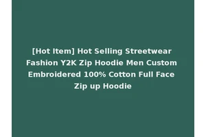 [Hot Item] Hot Selling Streetwear Fashion Y2K Zip Hoodie Men Custom Embroidered 100% Cotton Full Face Zip up Hoodie
