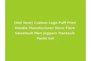 [Hot Item] Custom Logo Puff Print Hoodie Manufacturer Mens Flare Sweatsuit Men Joggers Tracksuit Pants Set