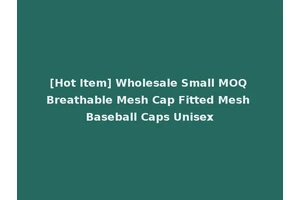 [Hot Item] Wholesale Small MOQ Breathable Mesh Cap Fitted Mesh Baseball Caps Unisex