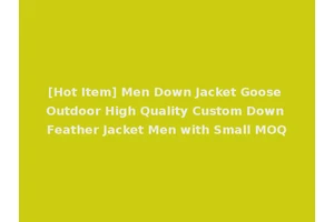 [Hot Item] Men Down Jacket Goose Outdoor High Quality Custom Down Feather Jacket Men with Small MOQ