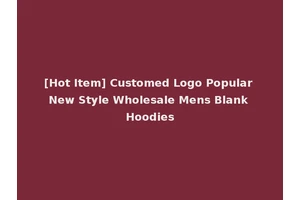 [Hot Item] Customed Logo Popular New Style Wholesale Mens Blank Hoodies