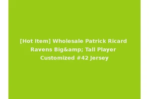 [Hot Item] Wholesale Patrick Ricard Ravens Big&amp; Tall Player Customized #42 Jersey