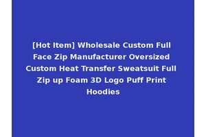 [Hot Item] Wholesale Custom Full Face Zip Manufacturer Oversized Custom Heat Transfer Sweatsuit Full Zip up Foam 3D Logo Puff Print Hoodies