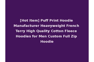 [Hot Item] Puff Print Hoodie Manufacturer Heavyweight French Terry High Quality Cotton Fleece Hoodies for Men Custom Full Zip Hoodie