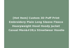 [Hot Item] Custom 3D Puff Print Embroidery Plain Long Sleeve Fleece Heavyweight Hood Hoody Jacket Casual Men's Streetwear Hoodie