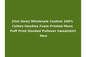 [Hot Item] Wholesale Custom 100% Cotton Hoodies Foam Printed Mens Puff Print Hooded Pullover Sweatshirt Men