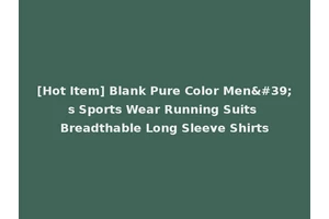 [Hot Item] Blank Pure Color Men's Sports Wear Running Suits Breadthable Long Sleeve Shirts