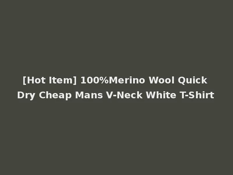 [Hot Item] 100%Merino Wool Quick Dry Cheap Mans V-Neck White T-Shirt