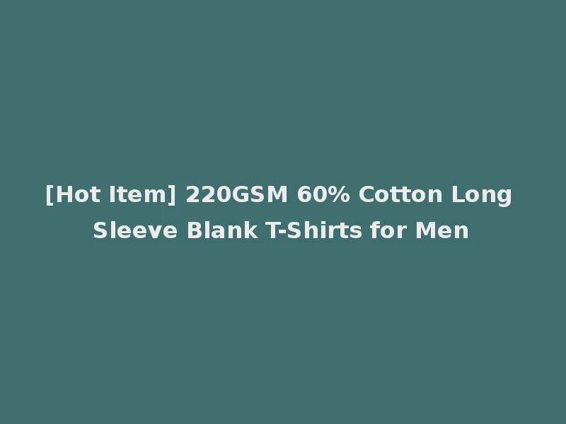 [Hot Item] 220GSM 60% Cotton Long Sleeve Blank T-Shirts for Men