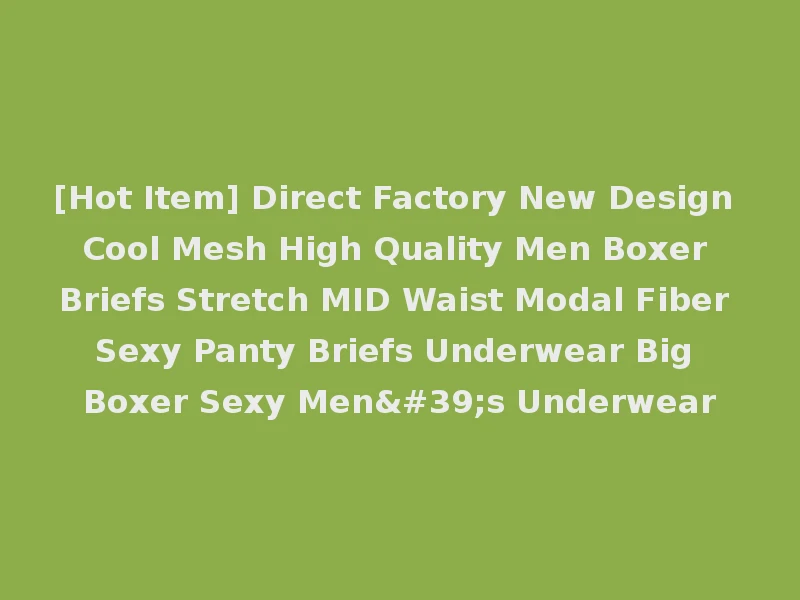 [Hot Item] Direct Factory New Design Cool Mesh High Quality Men Boxer Briefs Stretch MID Waist Modal Fiber Sexy Panty Briefs Underwear Big Boxer Sexy Men's Underwear