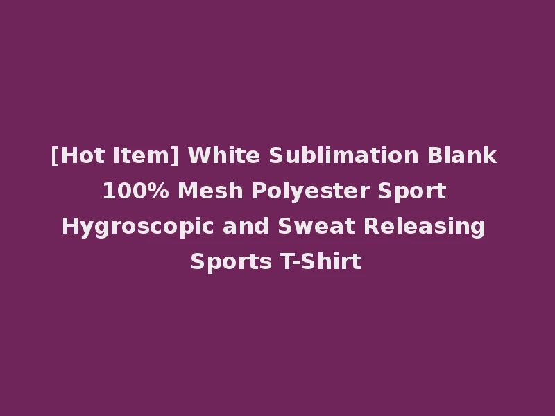 [Hot Item] White Sublimation Blank 100% Mesh Polyester Sport Hygroscopic and Sweat Releasing Sports T-Shirt