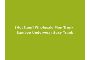 [Hot Item] Wholesale Men Trunk Bamboo Underwear Sexy Trunk