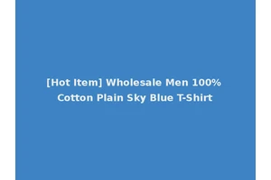 [Hot Item] Wholesale Men 100% Cotton Plain Sky Blue T-Shirt
