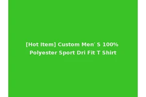 [Hot Item] Custom Men′ S 100% Polyester Sport Dri Fit T Shirt
