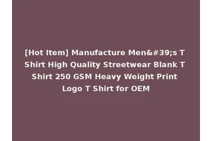 [Hot Item] Manufacture Men's T Shirt High Quality Streetwear Blank T Shirt 250 GSM Heavy Weight Print Logo T Shirt for OEM