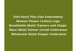 [Hot Item] Plus Size Embroidery Woman Flower Custom Logo Breathable Waist Trainers and Shape Wear Waist Trainer Corset Underwear Wholesale Waist Shaper Underwear