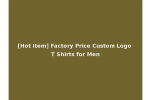 [Hot Item] Factory Price Custom Logo T Shirts for Men
