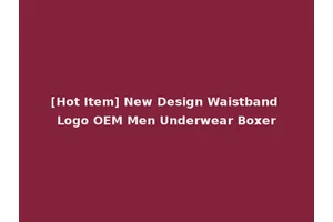 [Hot Item] New Design Waistband Logo OEM Men Underwear Boxer